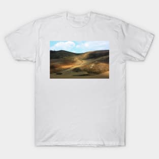 Sicilian Zen Garden. Fields XVII. 2011 T-Shirt